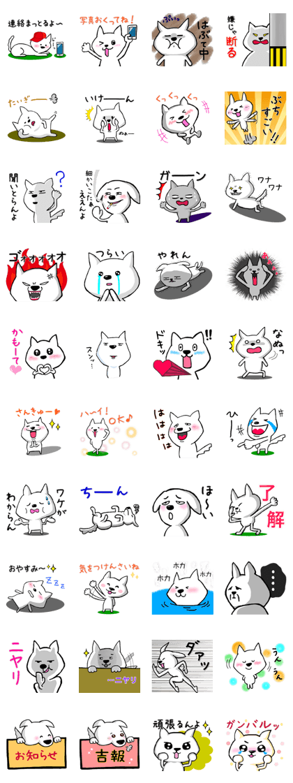 Dog's rich in expression 3 (Hiroshima)