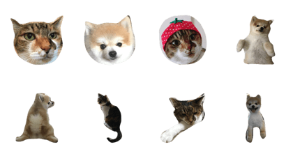 naito.cuteanimal!!