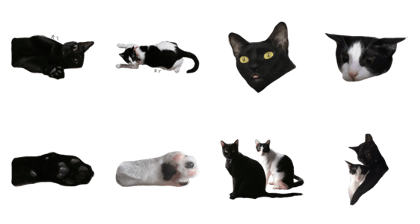 Pork and Beef