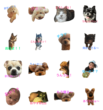 cute!dog!cat!kids