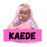 KAEDE51304