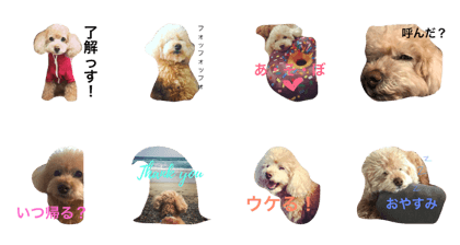 sunnylove