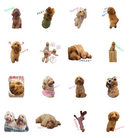 mofumofudogs2