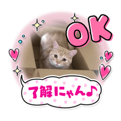 miki_20210806200822