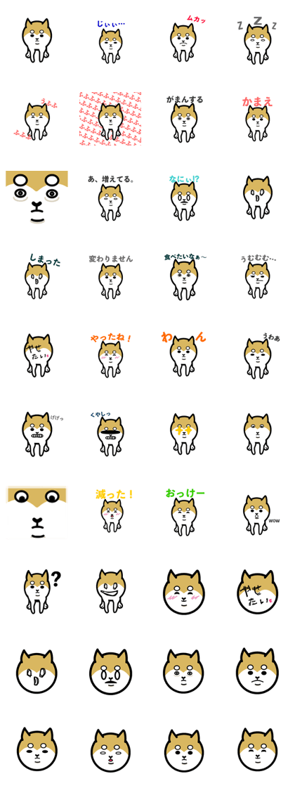 She name is momoko! shi-bainu !