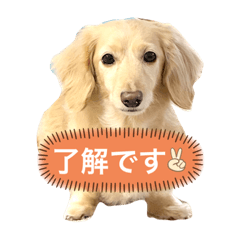 HANA_20210806211111