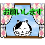 The cat which likes windows