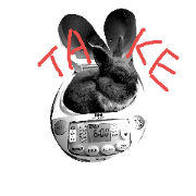 Tato Rabbit