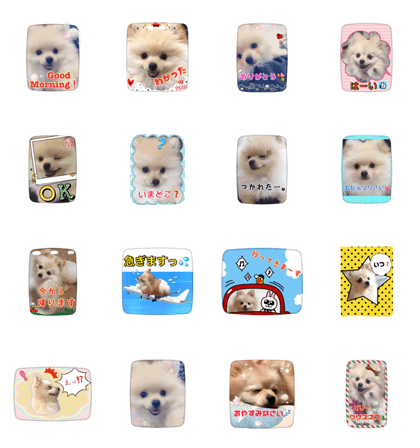 kinako's life 1