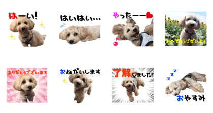 Sticker of Kotetsu