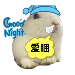 咱們家的兔兔貼圖（8張版）
