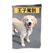 I am Wang Zi.