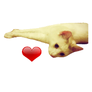 Korin.NEKO