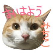 michico name stamp