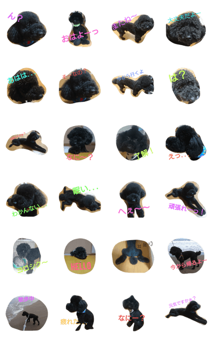 dog-4