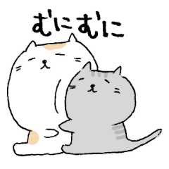 White cat and Gray cat are cute!