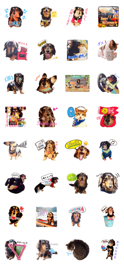 beck Dachshund 1