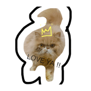 Buttercup is awesome