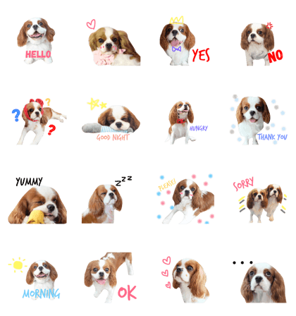the cavalier story