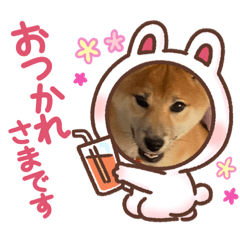 kuropapa_20210806202643