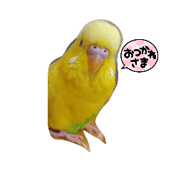 omochi_20210806220528