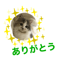 Ann_20210806225804