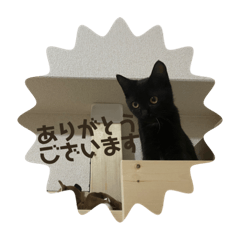 yukina_20210807142733