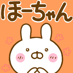 Rabbit Usahina ho-chan