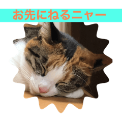 kaori_20210806230315