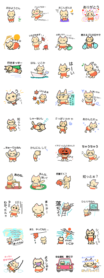 warm pants cat