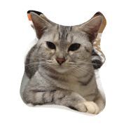 Nyankonyannyanko2