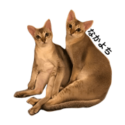 7cat stamp   2