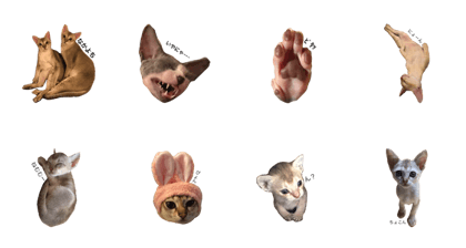 7cat stamp   2