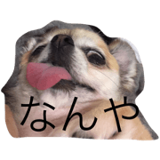 tiyoko