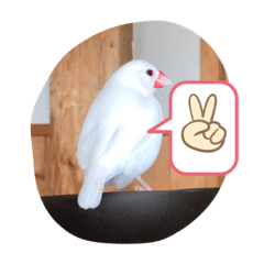 akiko_20210807150755