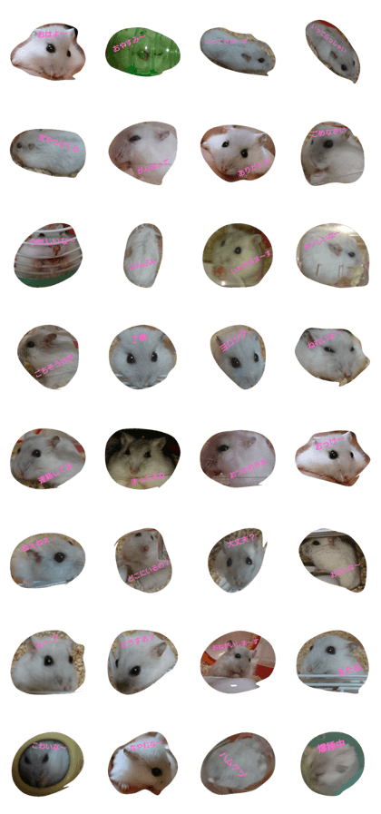 Hamuster momochan stamp