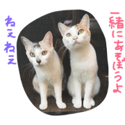 hana&saku