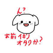 The white dog very cute is terrible