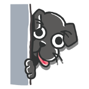 Black Labrador Retriever Chocoa