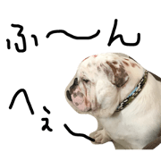 bulldog stamp