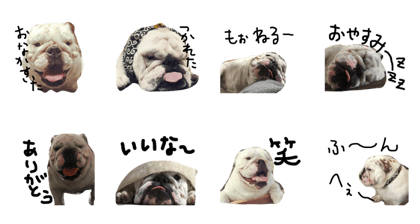 bulldog stamp