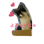 Cuty cat stamps