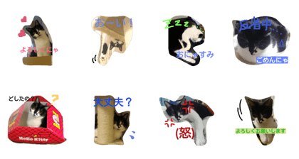 Cuty cat stamps