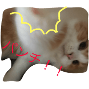 ryuutarounonichijyou
