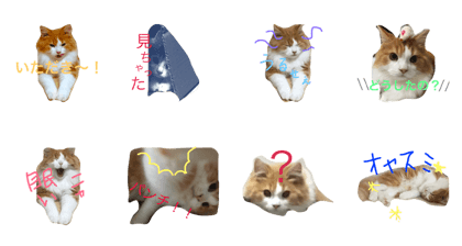ryuutarounonichijyou