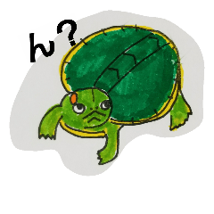 turtle Tensuke