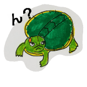 turtle Tensuke