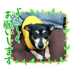 SUZU_20210807101601