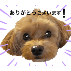 CHIHIRO_20210807120341
