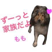 Momo go